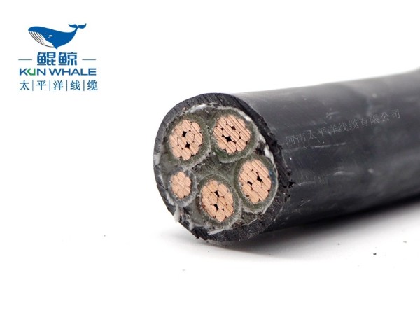 低煙無鹵電纜應(yīng)用在哪些場(chǎng)所你知道嗎？